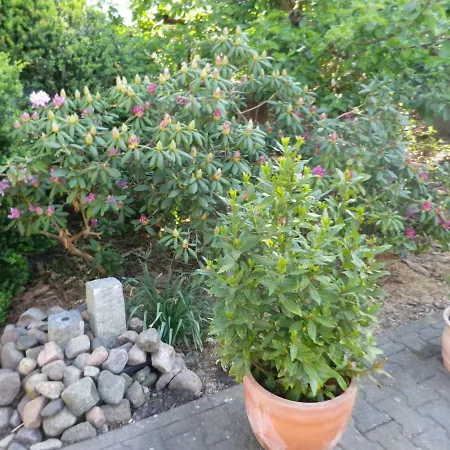 Zum Sudhaus Im Herzen Der Schorfheide Golzow