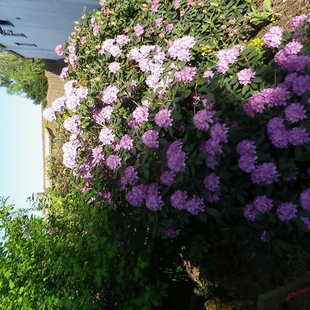 Zum Sudhaus Im Herzen Der Schorfheide Golzow (Barnim)