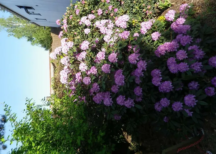 Zum Sudhaus Im Herzen Der Schorfheide Golzow (Barnim)